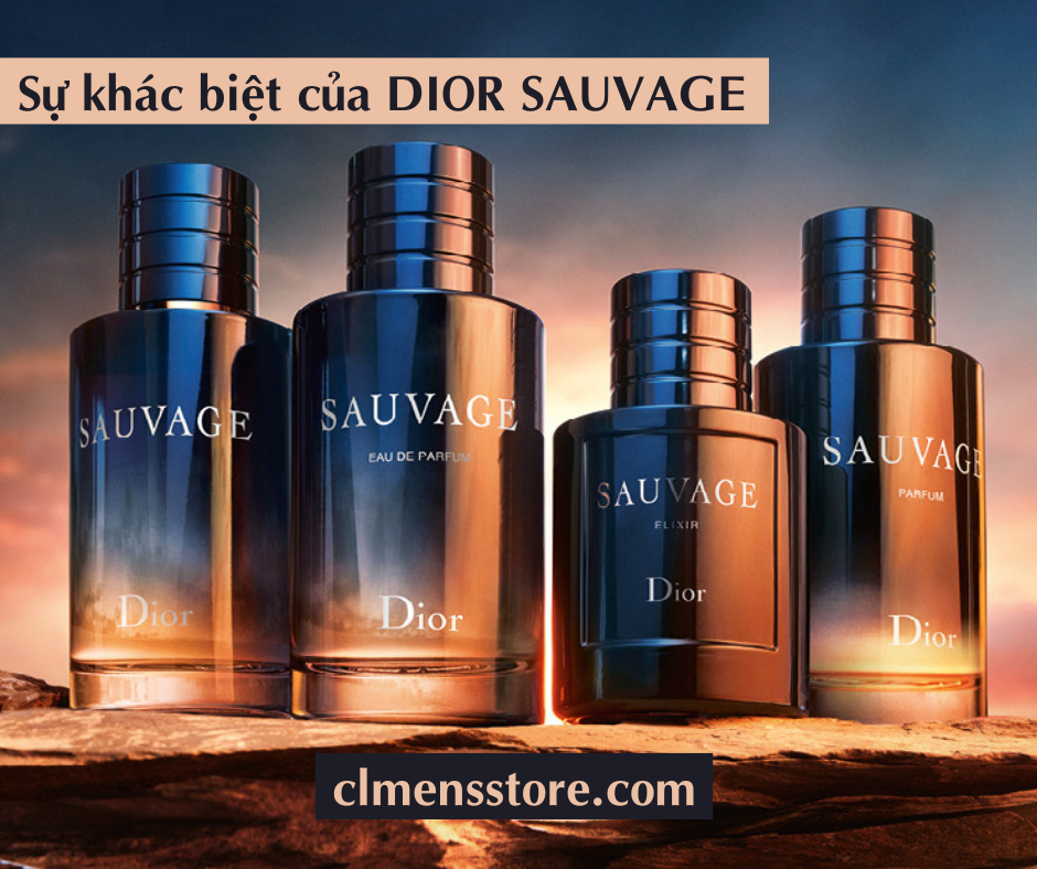 Dior Sauvage EDP vs Dior Sauvage EDT  YouTube