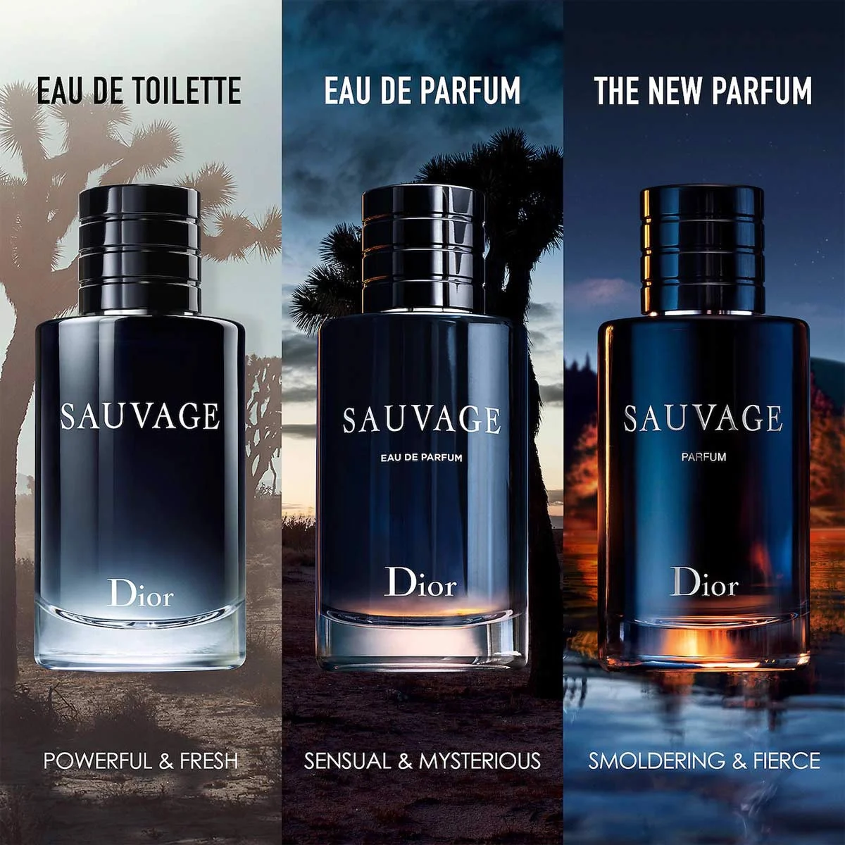 Dior Sauvage edt vs Dior Sauvage edp  fragrance test  YouTube