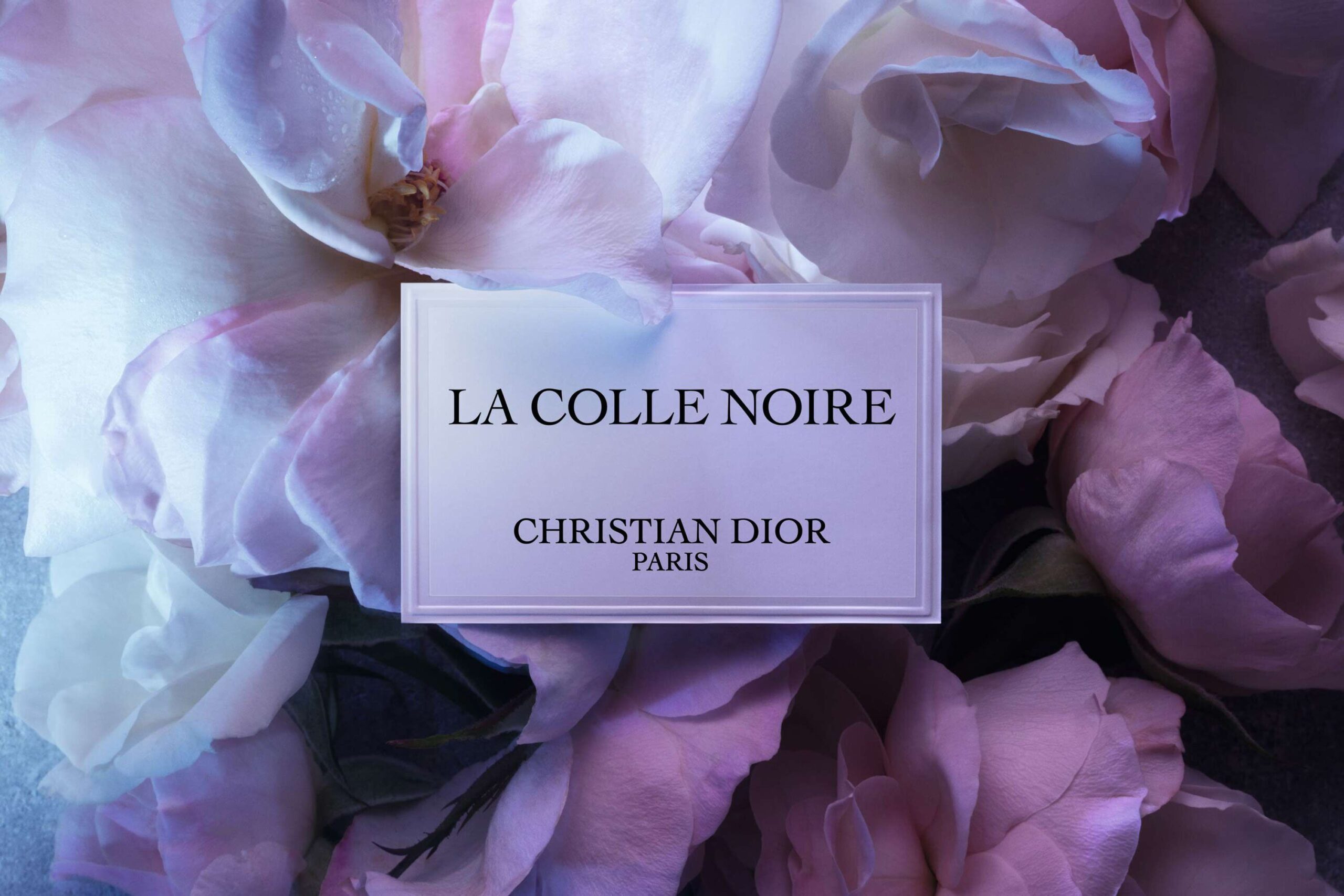 Nước hoa Dior La Colle Noire