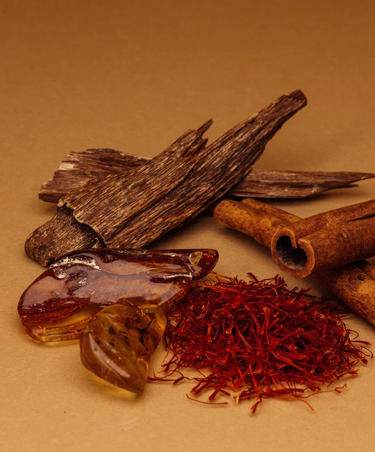 Nước hoa Roja Amber Aoud Parfum