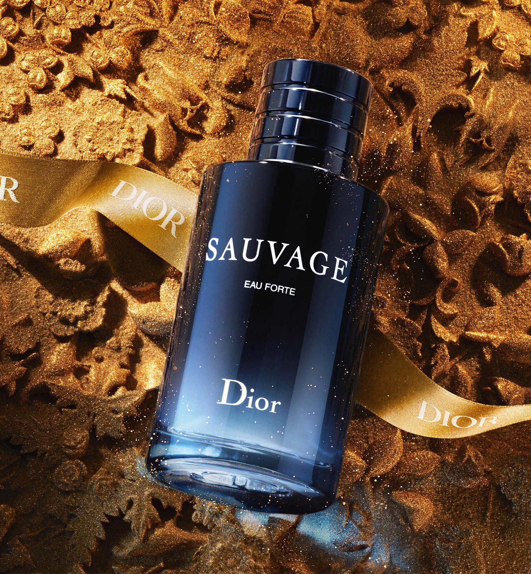 Dior Sauvage Eau Forte 