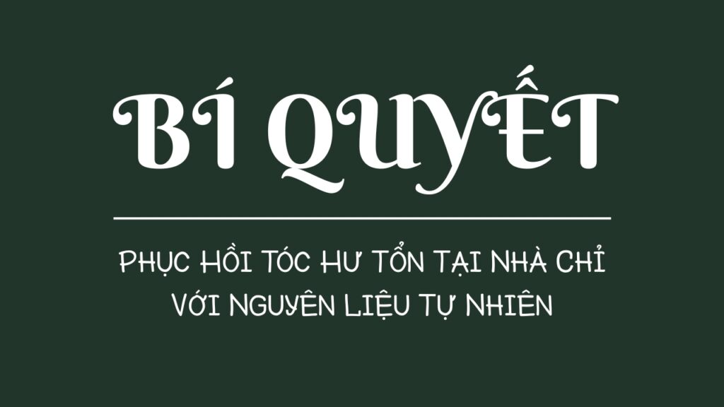 i Quyet Phuc Hoi Toc Hu Ton Tai Nha Chi Voi Nguyen Lieu Tu Nhien