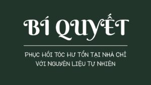 i Quyet Phuc Hoi Toc Hu Ton Tai Nha Chi Voi Nguyen Lieu Tu Nhien