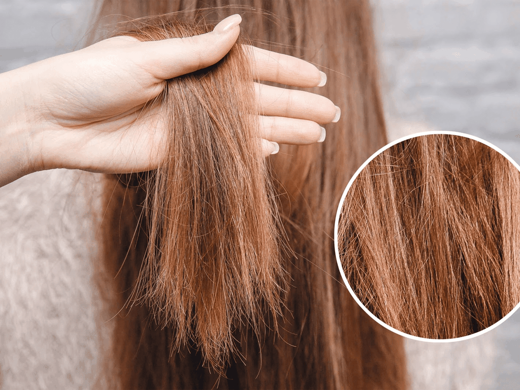 Bí Quyết Phục Hồi Tóc Hư Tổn Tại Nhà Chỉ Với Nguyên Liệu Tự Nhiên 2 Bí Quyết Phục Hồi Tóc Hư Tổn Tại Nhà