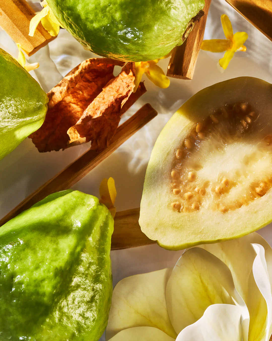 Roja Isola Verde Parfum 7 Roja Isola Verde Parfum