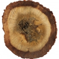 Trầm hương Oud