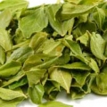 Buchu / Agathosma