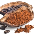 Vỏ quả cacao