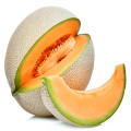 Dưa lưới Cantaloupe