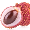 Vải
