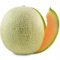 Dưa lưới