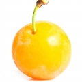 Mận Mirabelle