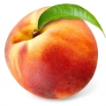 Đào