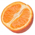 Quýt