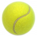 Bóng tennis