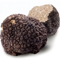 Nấm truffle