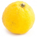 Quýt Yuzu